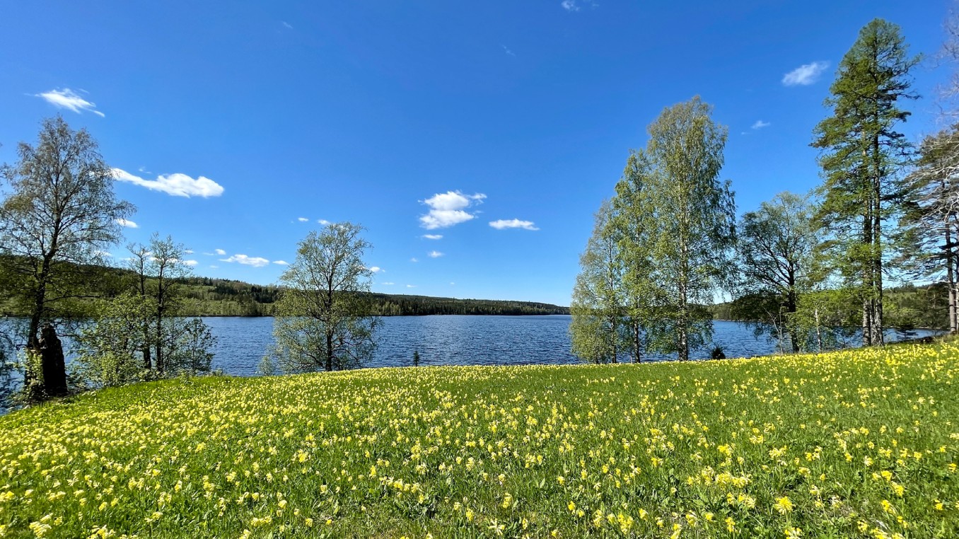 flygbild över centrum