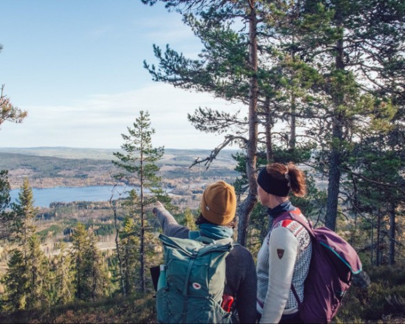Två personer kollar ut på en utsikt i en skog